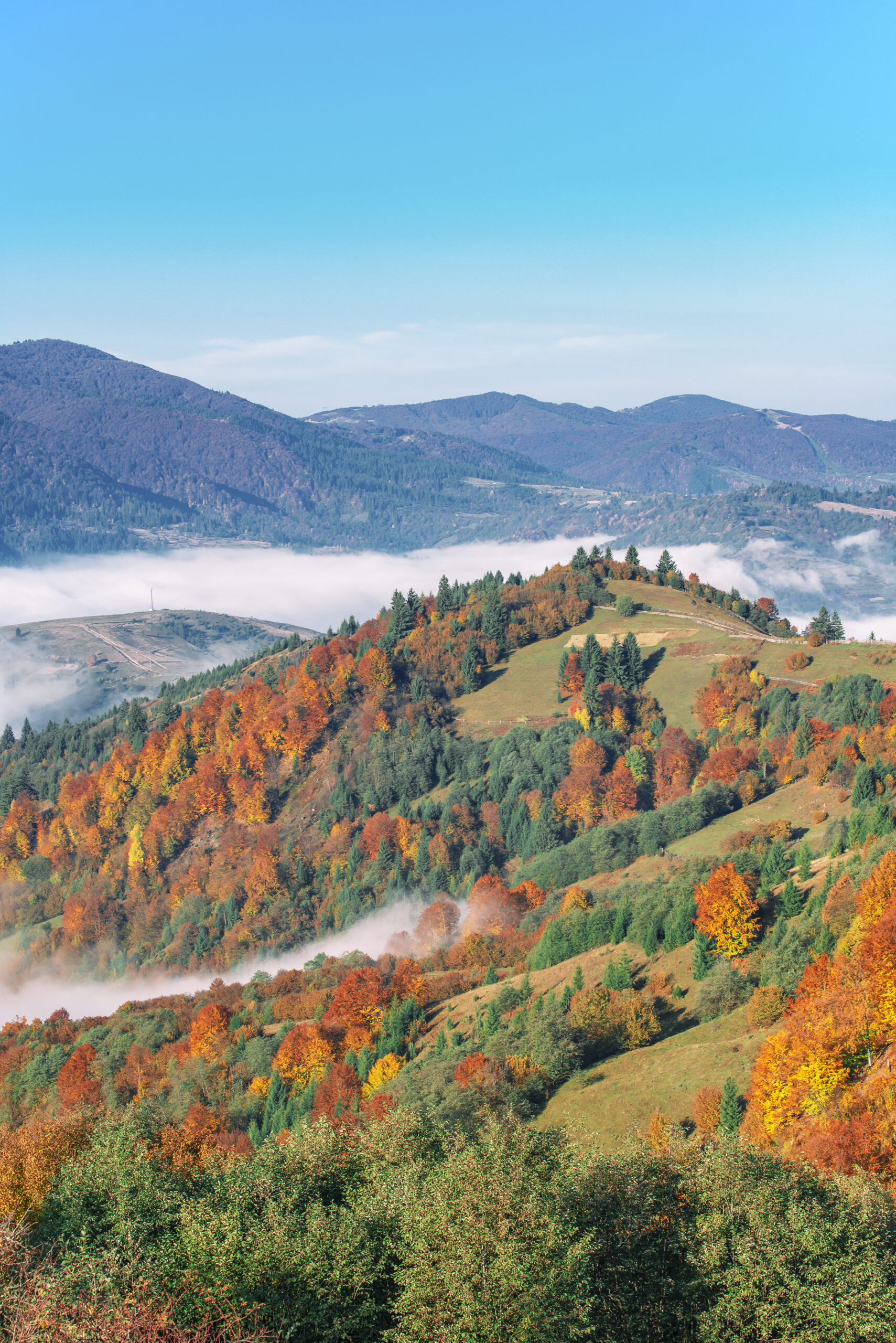 Beautiful morning landscape with autumn foggy mountains.